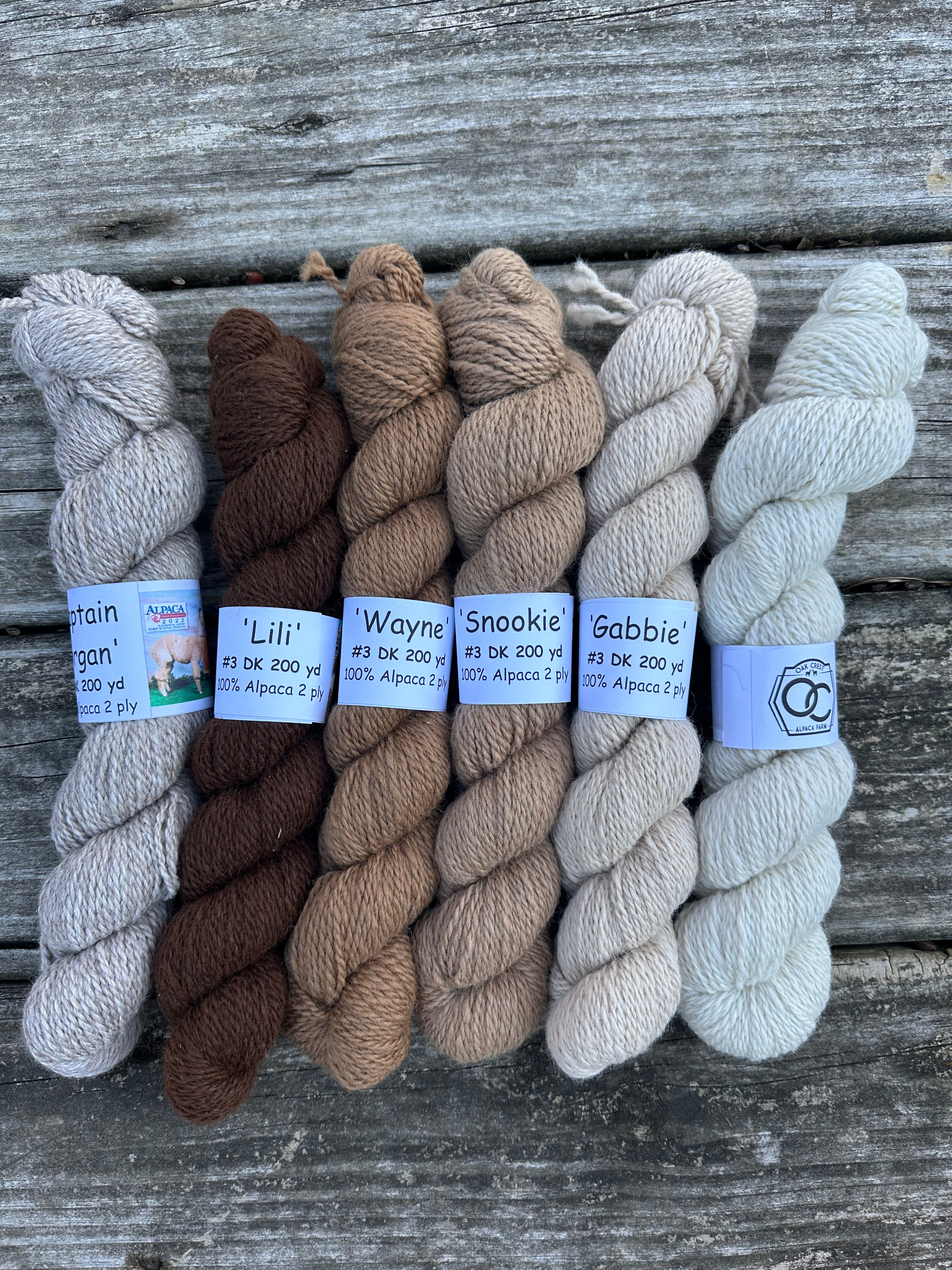 200 yd of DK 100% USA Alpaca from our alpacas, 2 ply.  Natural Colors