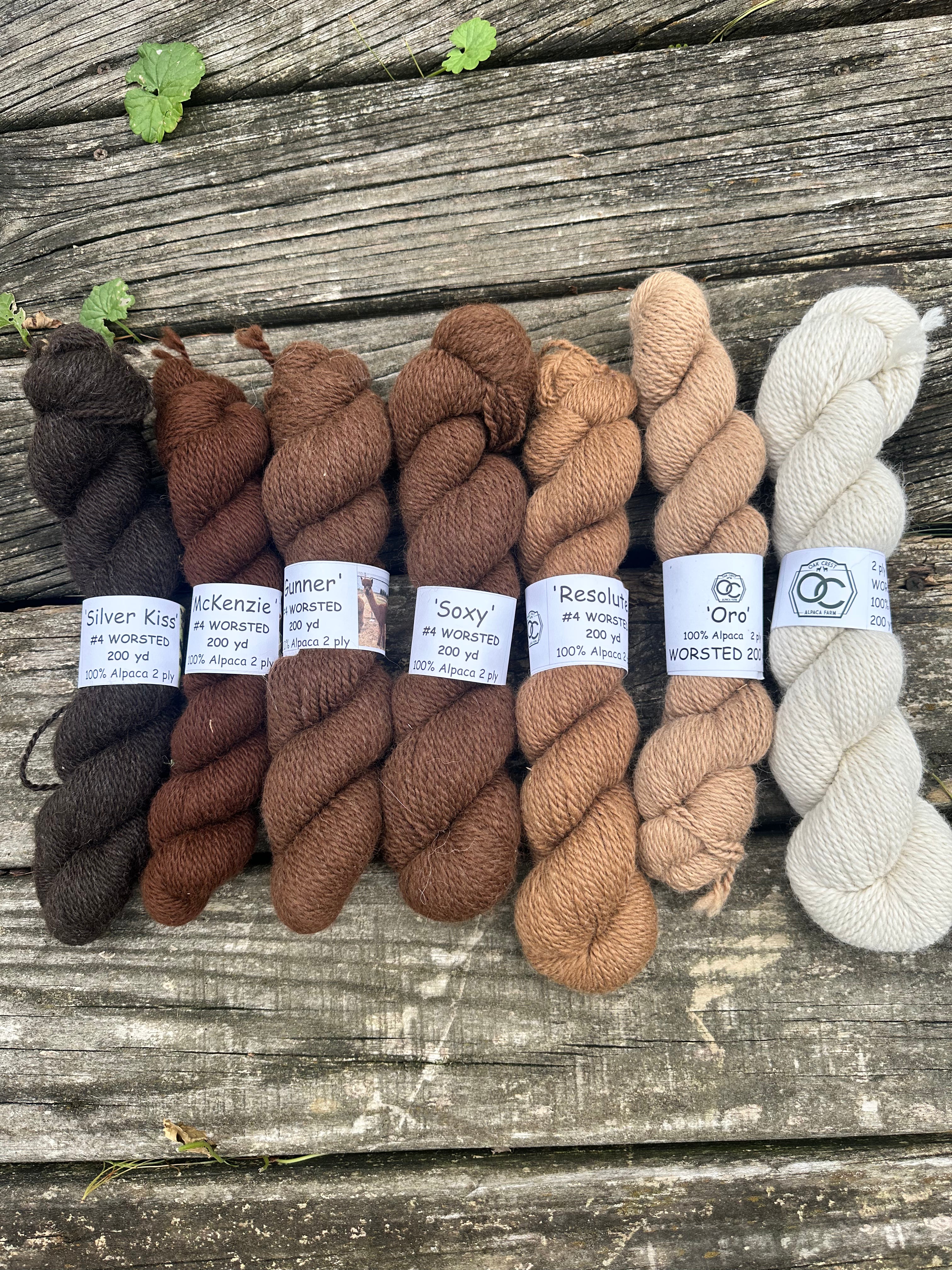 200 yd of Worsted 100% USA Alpaca from our alpacas, 2 ply. Natural Colors