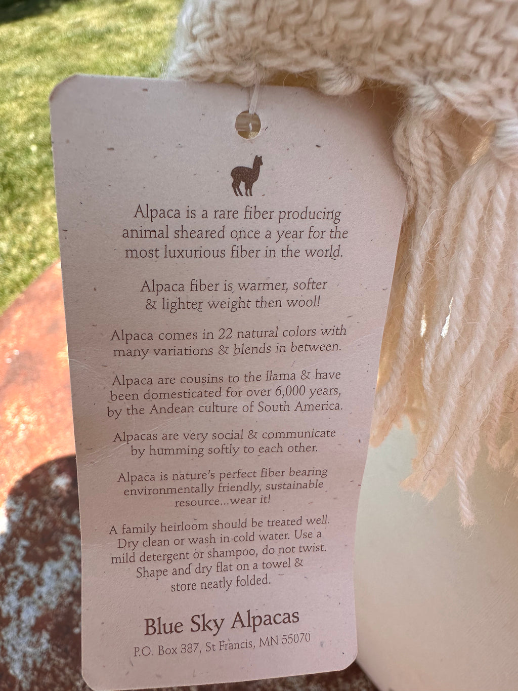 Imported Woven Scarf