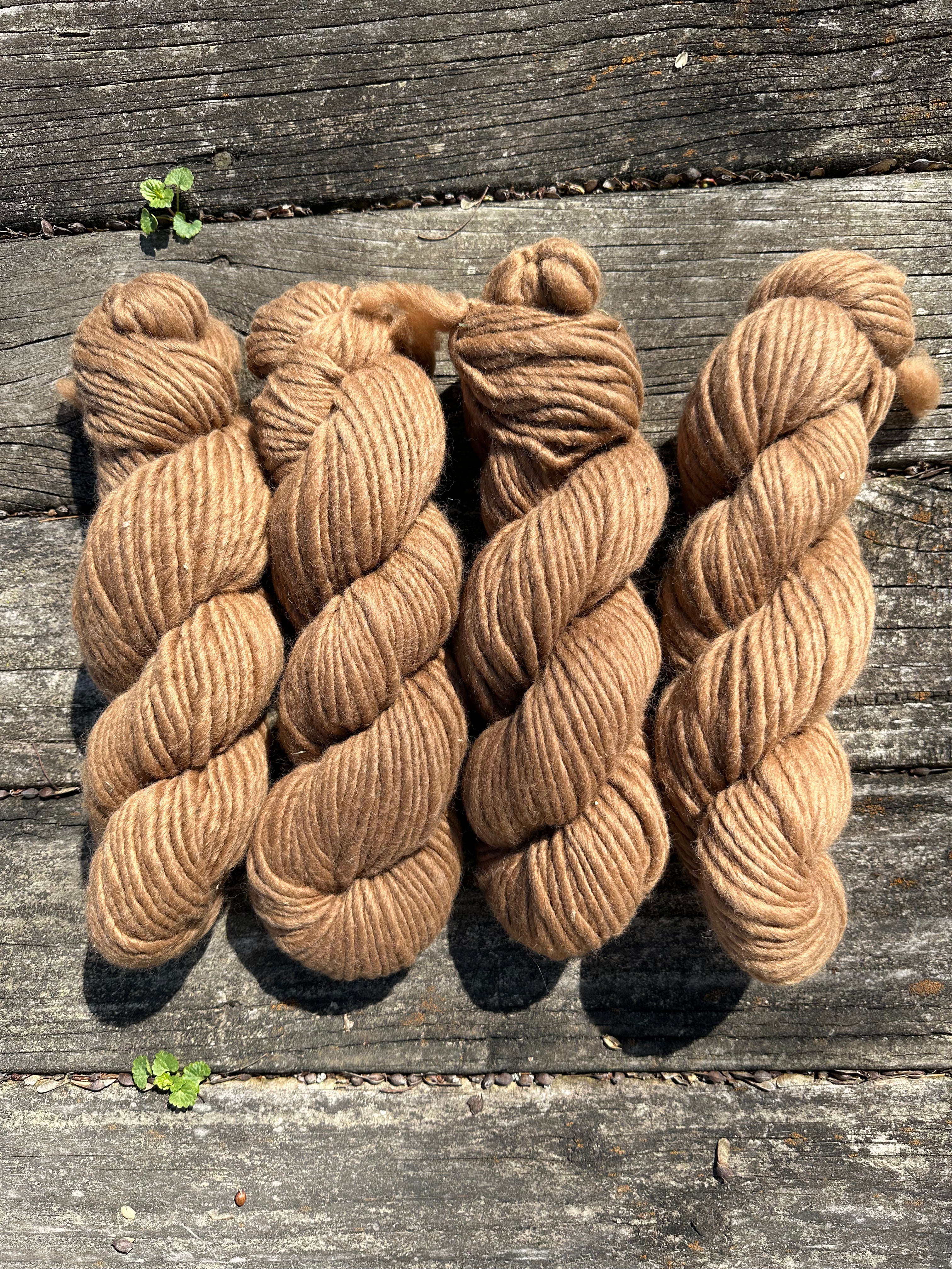 Super Bulky 100% USA Alpaca Lopi style yarn, 80 or 100 yd, 1 ply, from our alpacas. Natural Color,  undyed