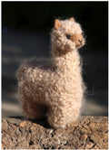 Needle Felted Baby Alpaca 5" image 3