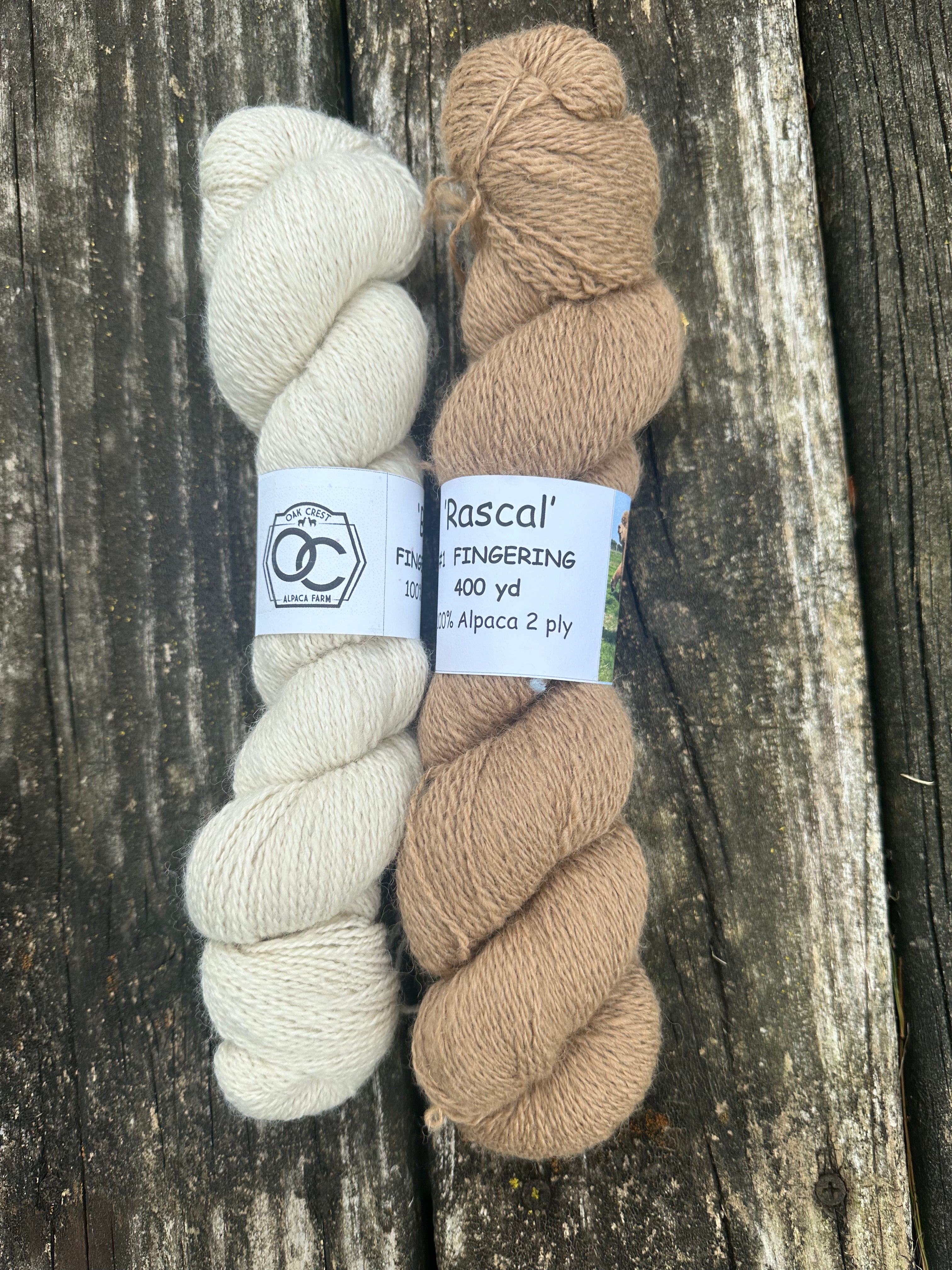 400 yd of fingering weight 100% USA Alpaca, Natural Color,  undyed