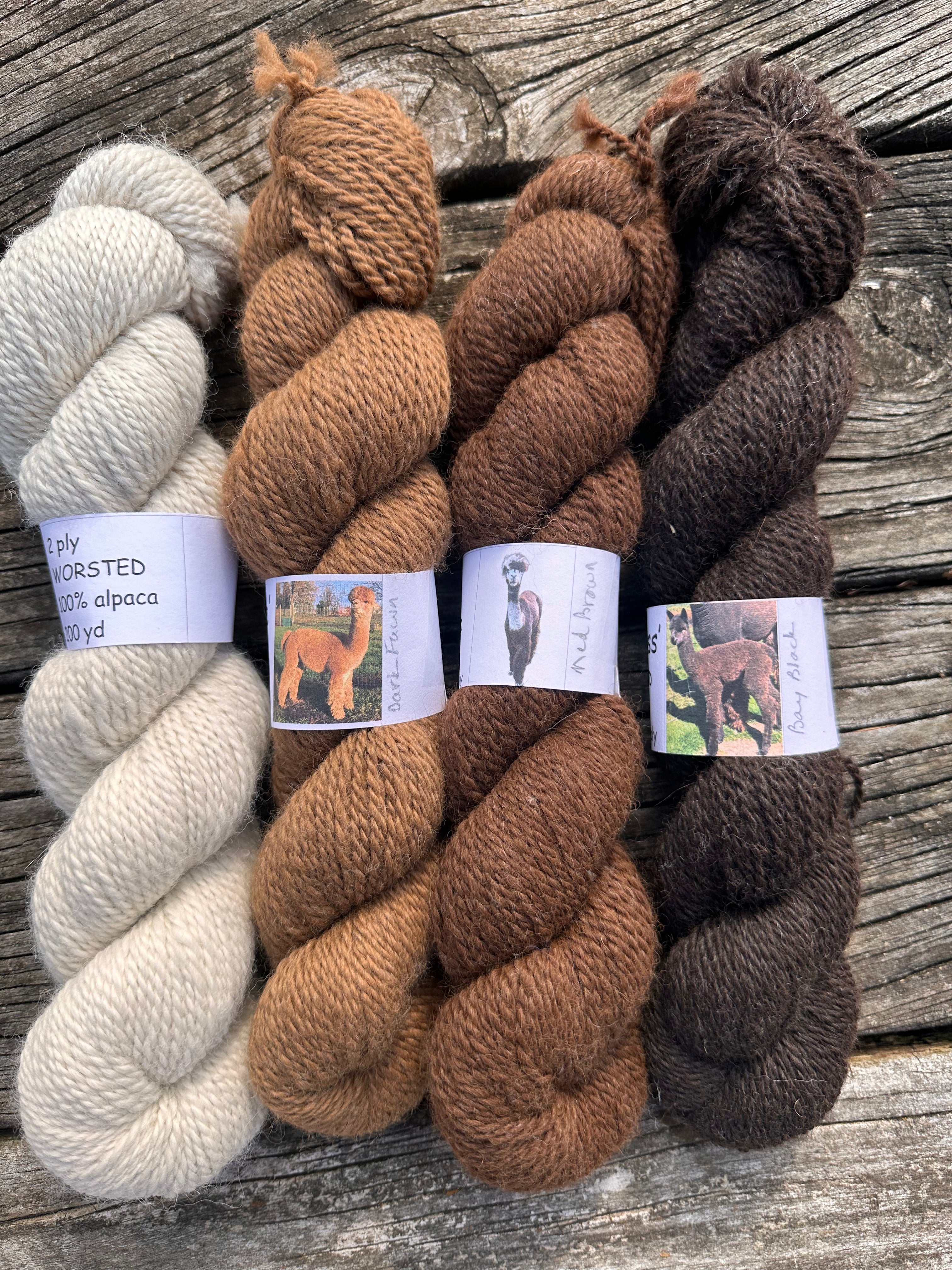 200 yd of Worsted 100% USA Alpaca from our alpacas, 2 ply. Natural Colors