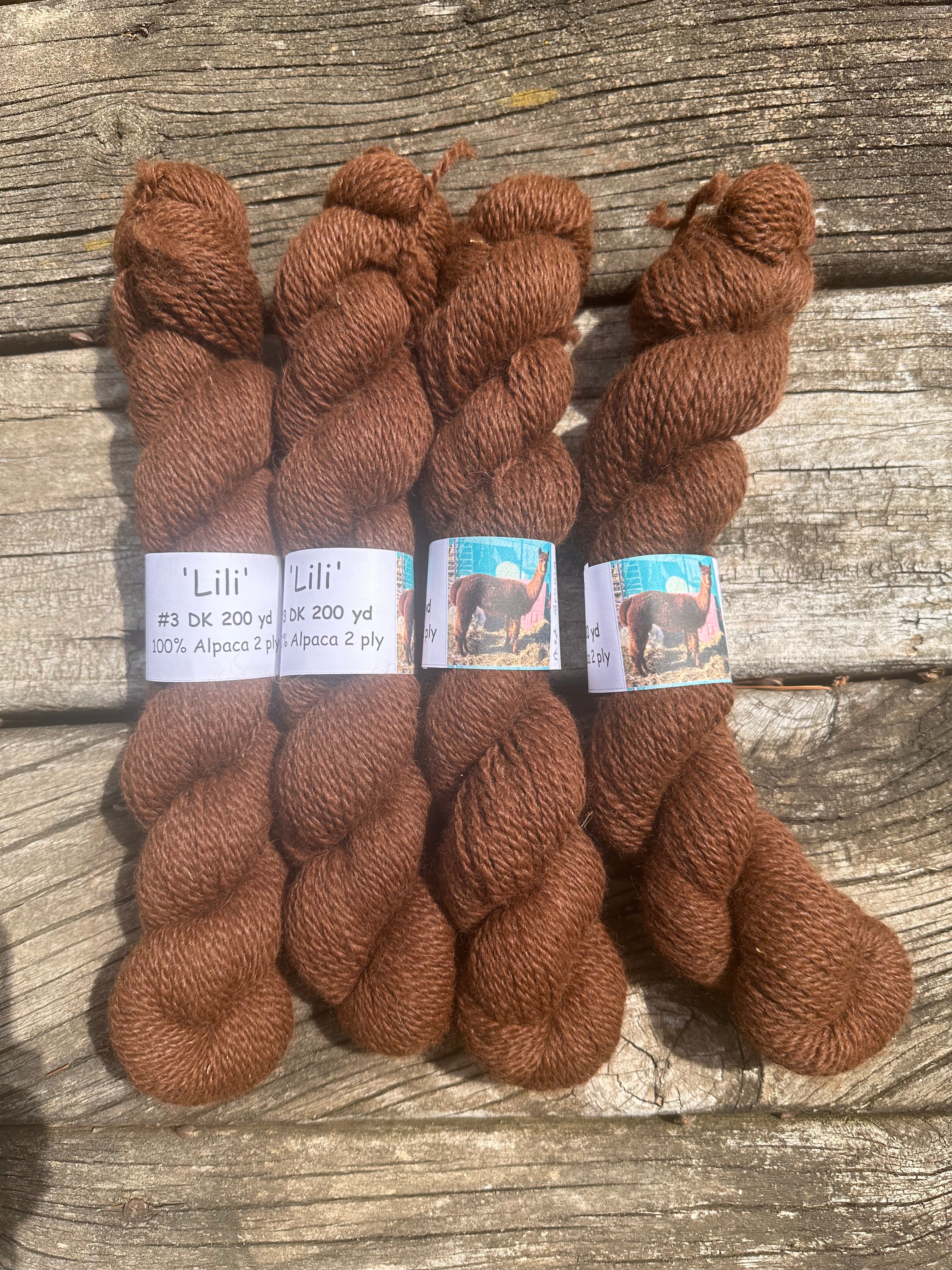 200 yd of DK 100% USA Alpaca from our alpacas, 2 ply.  Natural Colors