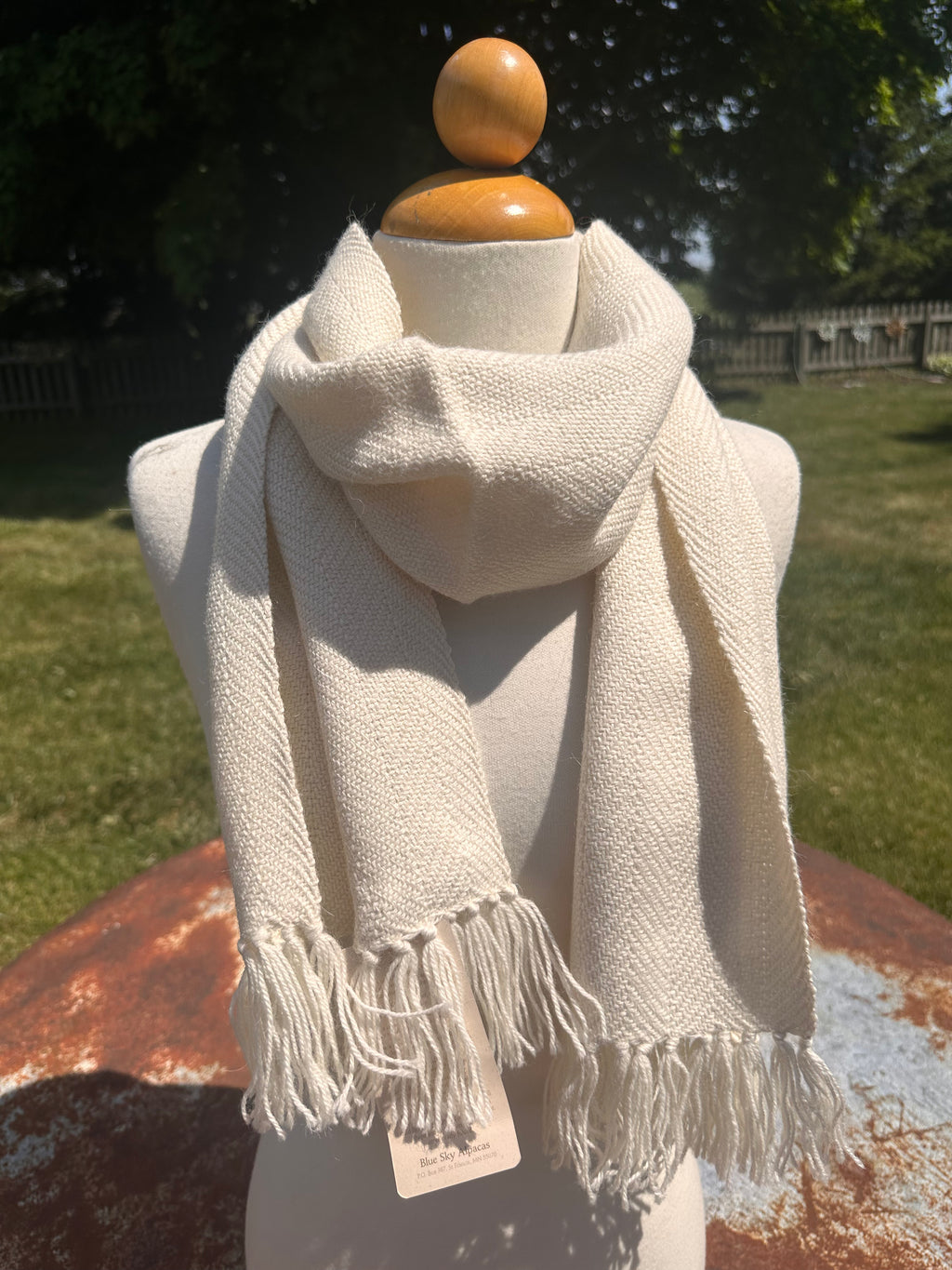 Imported Woven Scarf