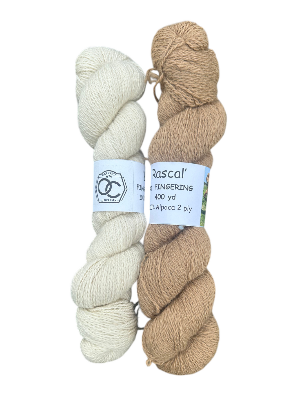 Two skeins of Oak Crest Alpacas and More fingering weight 100% alpaca yarn in natural cream and fawn colors.